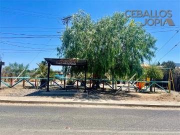 Casa en venta de 3 dorm. En Olmué | 3 Dormitorios por 125500. 00 en Olmué