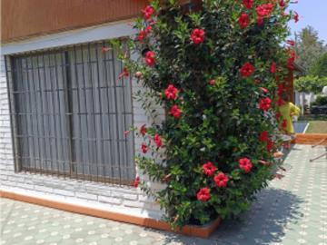 Casa en Venta en Macul