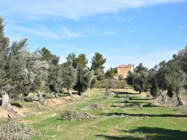 Casa en venta en Mazaleón Teruel