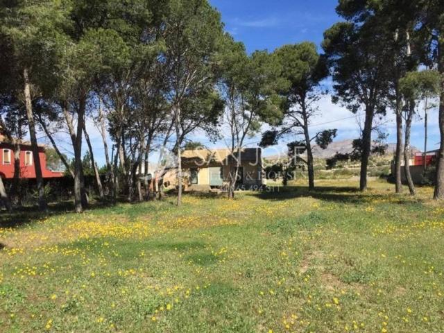 Terreno en Venta en Monforte del Cid