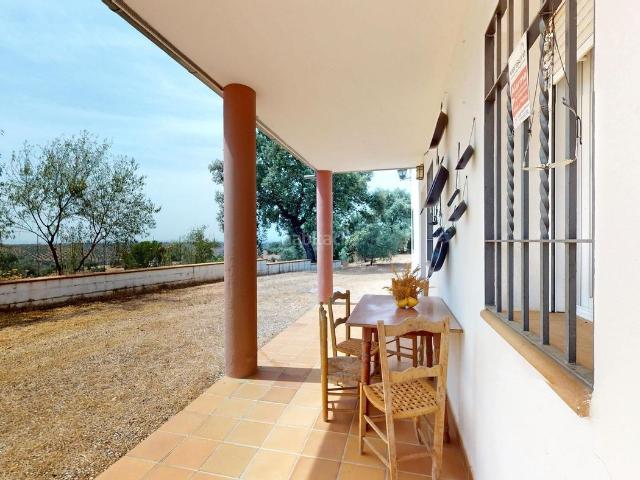 Casa en venta en Montoro. Espectacular finca rústica hipotecable de 3 hectáreas en Montoro. Casas.