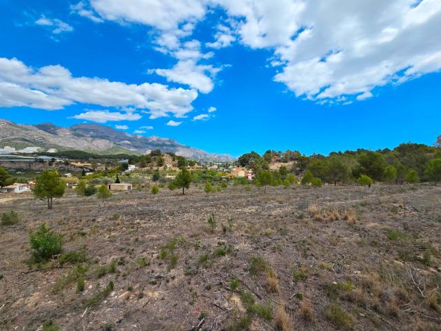 Casa en venta en Nucia la, El Tossal Bello Horizonte. Se vende una finca rusticanbspde 1,6 hectáreas que incluye un proyecto y licencia de construcción para una vivienda de 300 metros. Casas Nucia.