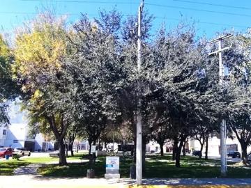 Casa en venta en Nexxus Residencial Sector Diamante, General Escobedo, Nuevo León