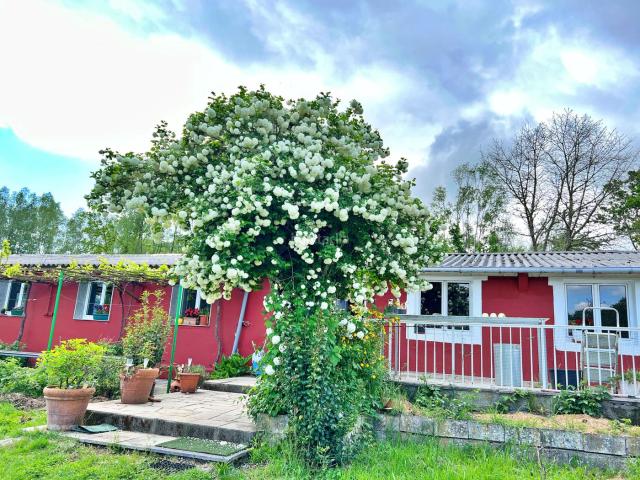 Casa en venta en Outeiro de Rei. Casas Outeiro de.