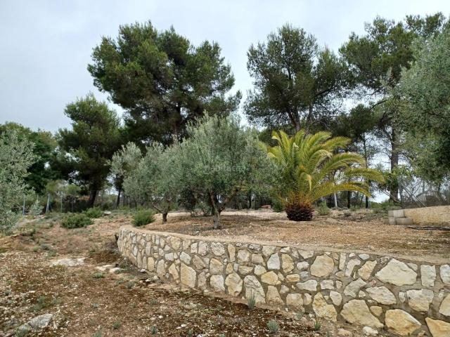 Casa en venta en Ontinyent, El Pilar. Casas.