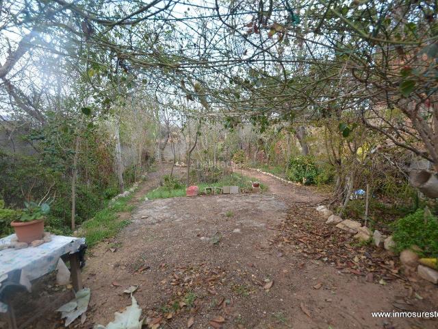 Casa en venta en Orihuela, La Murada Los Vicentes. Casa planta baja en Callosa de Segura zona Virgen del Camino, 81 m2. construidos y parcela de 162 m2. Casas.