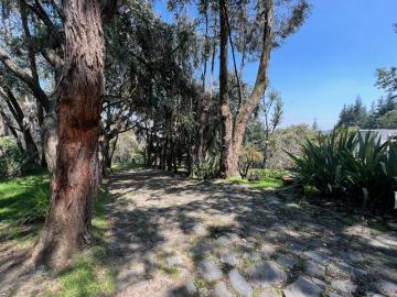 CASA EN VENTA EN AV. DESIERTO DE LOS LEONES, SANTA ROSA XOCHIAC, ÁLVARO OBREGÓN