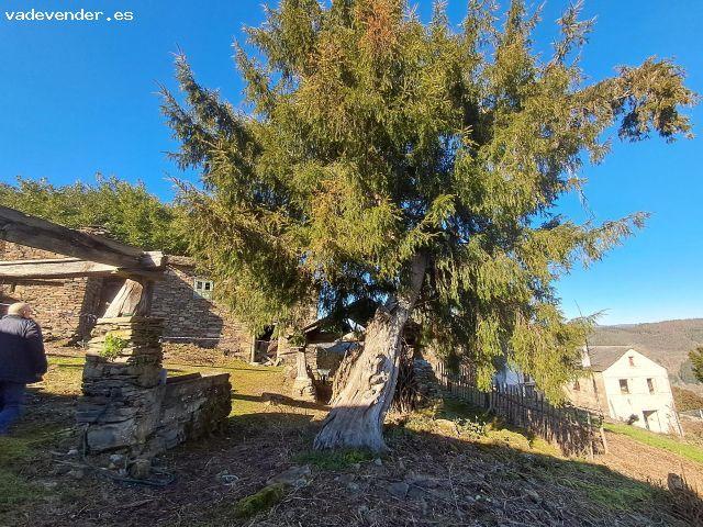 Casa en Venta en A Fonsagrada, Lugo