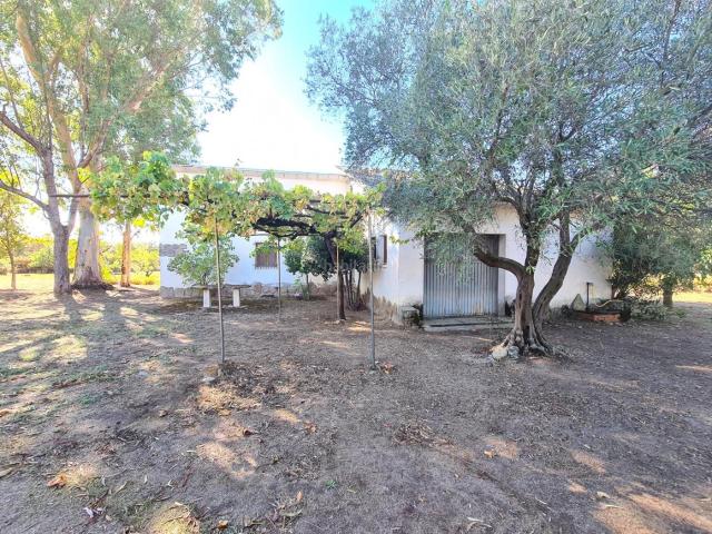 Casa en venta en Adrada La. Chalet con 4675 metros parcela y 194 metros construidos. Casas Adrada.