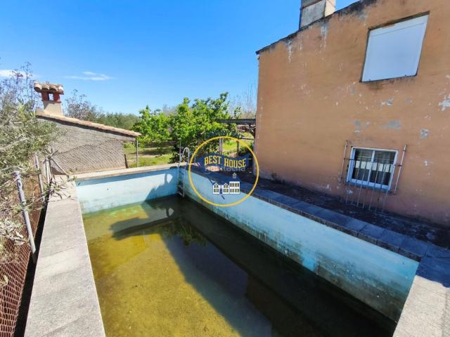 Casa en venta en Albaida. OPORTUNIDAD! CASA DE CAMPO CON 22000m2 DE TERRENO EN PRODUCCIÓN DE FRUTALES Y OLIVOS EN ALBAIDA. Casas.