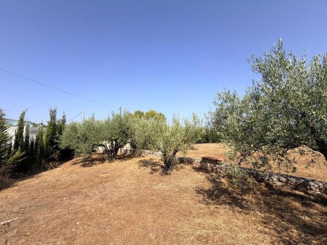 Casa en venta en Albaida. Venta casa de campo en AlbaidaValencia. Casas.