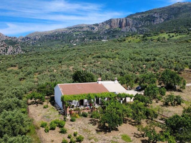 Casa en venta en Alfarnatejo. Casas.