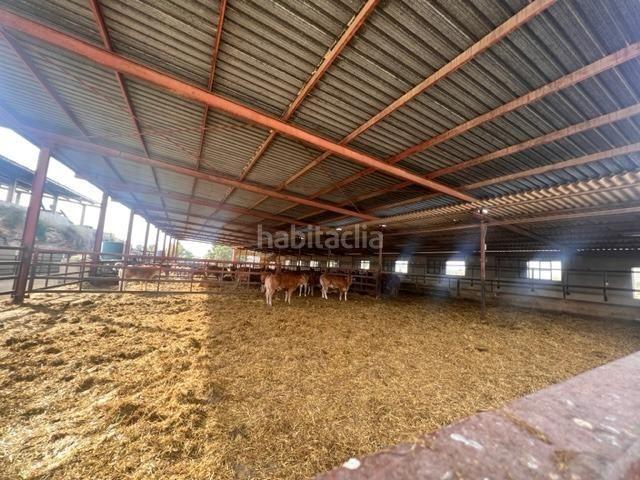 Casa en venta en Alicante, Fontcalent. Parcela estratégica junto al Polígono Pla de la Vallonga Gran potencial logístico y empresarial. Casas.