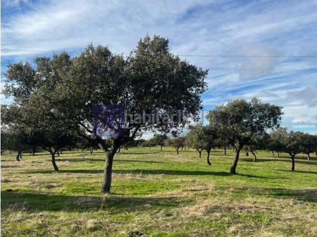 Casa en venta en Aliseda. SE VENDE FINCA GANADERA. Casas.