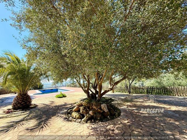 Casa en venta en Almodóvar del Río. ESPECTACULAR CASA EN CUEVAS BAJAS! NO HIPOTECABLE. Casas Almodóvar del.