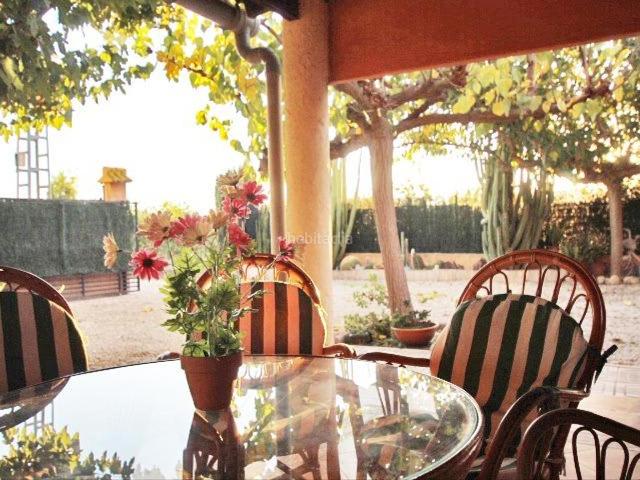 Casa en venta en Almoradí. Casa con piscina sobre una parcela de 1389 m2. Casas.