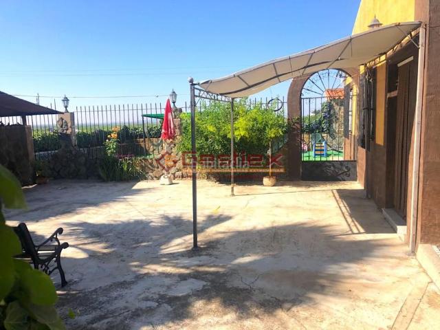 Casa en venta en Almendralejo. ! OCASION, CASA DE CAMPO CON PISCINA Y 30.000 METROS DE TERRENO !. Casas.