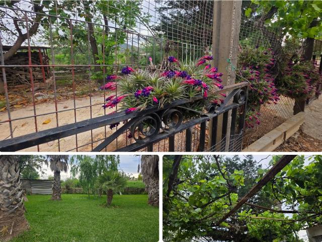 Casa en venta en Amposta, Eucaliptus Poble Nou del Delta Costa Dorada. CASA EN VENTA, ELS ULLALS DE BALTASAR AMPOSTA. Casas.