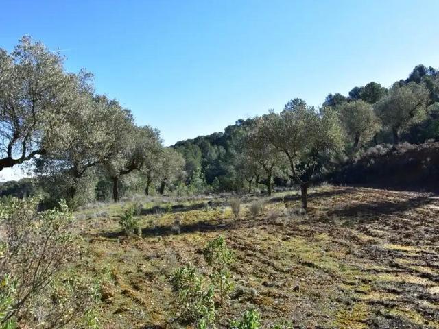 Casa en venta en Arens de Lledó Teruel