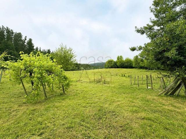 Casa en venta en Areatza. Finca rústica única con vivienda junto al Parque Natural del Gorbea. Casas.
