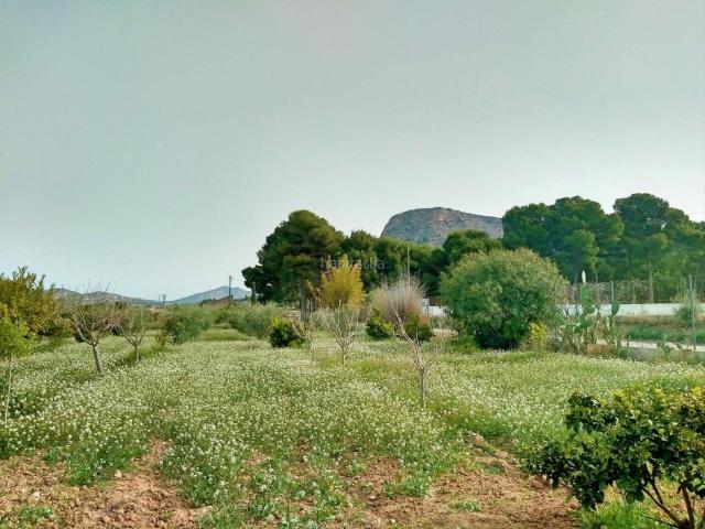 Casa en venta en Aspe, Centro. Hermosa casa de campo de estilo francés excepcionalmente bien construida que ofrece 5 dormitorios grandes, 3 baños, salón comedor. Casas.