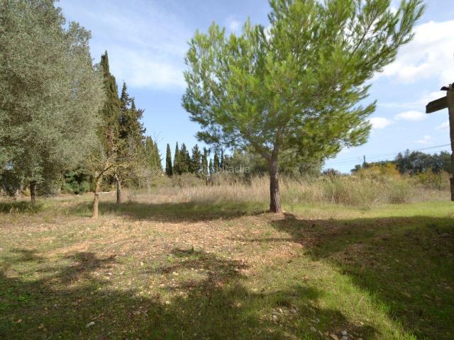 Casa en venta en Baleares Muro. Finca rústica en Muro. Casas.