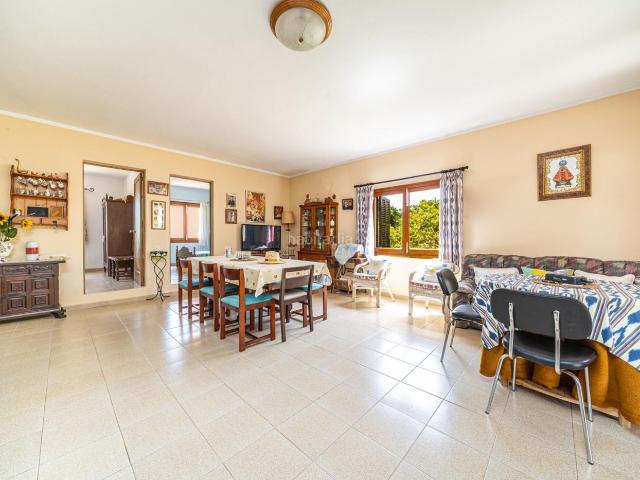 Casa en venta en Baleares Felanitx, Felanitx Poble. Finca rústica con cédula de habitabilidad en Felanitx. Casas.