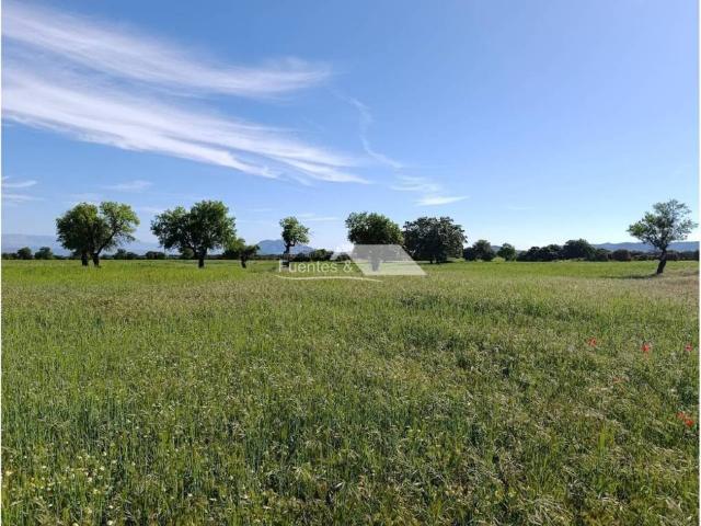 Casa en Venta en Baza