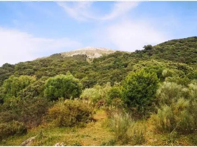 Casa en Venta en Benadalid
