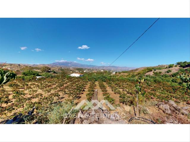 Casa en venta en Benamocarra. Se vende Finca, VélezMálaga, Andalucía. Casas.