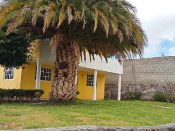 Casa en venta en Benito Juárez, San Agustín Tlaxiaca, Hidalgo