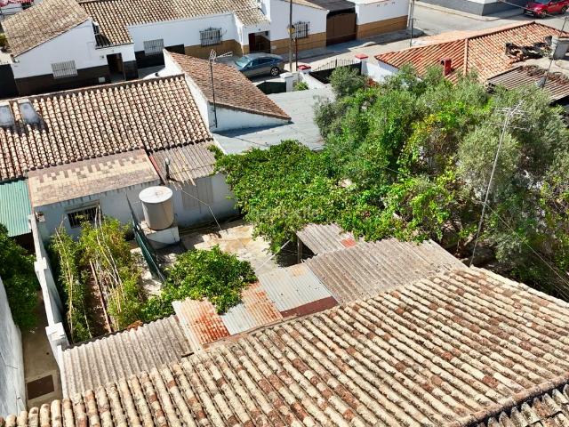 Casa en venta en Bornos. Casa de una planta con gran patio, huerto y garaje en Coto de Bornos. Casas.