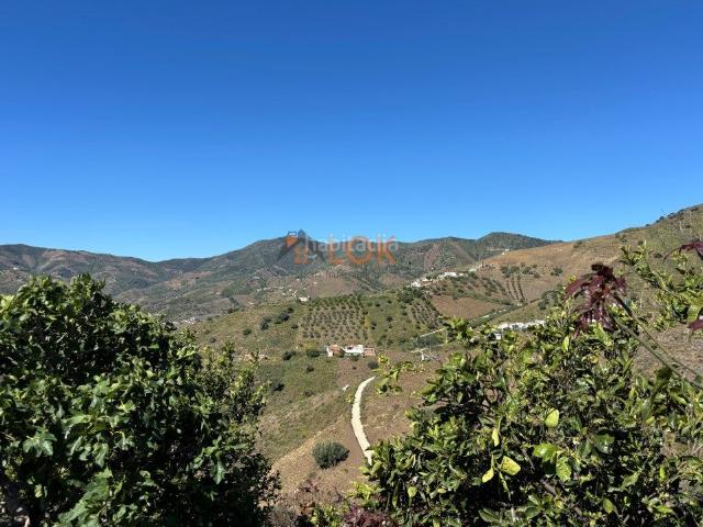 Casa en venta en Borge El. Finca, 5 hab, 2 salones, 2 cocinas, situada entre montañas. Casas Borge.