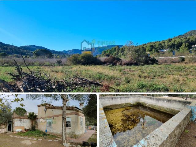 Casa en venta en Borges del Camp Les. CASA de CAMPO en venta con mucho terreno 9.380 m2 llano en un lugar verde, con vegetación, cultivos y muy agradable. Casas Borges del Camp.