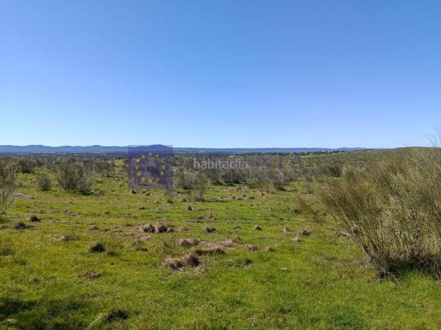 Casa en venta en Brozas. FINCA GANADERA BROZAS. Casas.