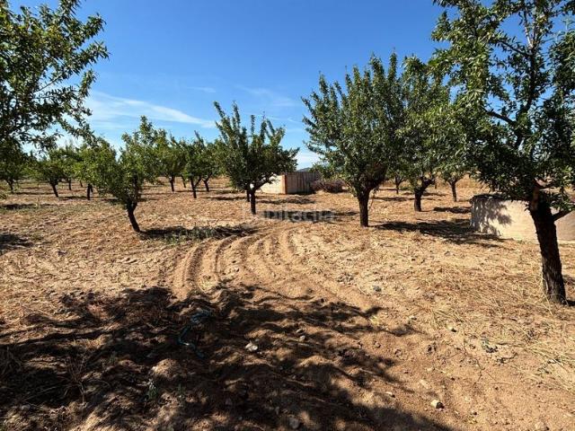 Casa en venta en Cuerva. Magnífica finca con vivienda, suelo urbano, pozo y amplio terreno en el paraje Pilón de Poveda, en Cuerva, Toledo. Casas.