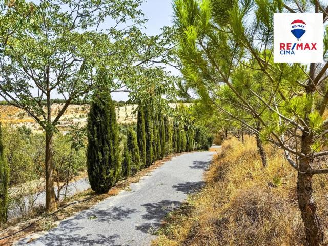 Casa en venta en Cuevas del Campo. CASA CUEVA con PARCELA mas de 10.000 METROS. Casas Cuevas del.
