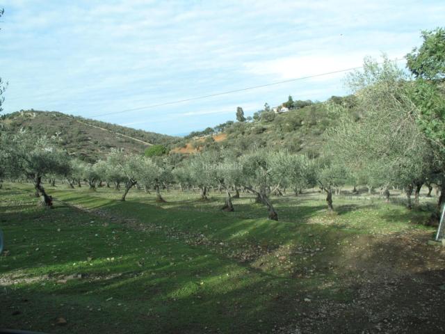 Casa en venta en Cáceres, Campus Universitario. Finca de 7 Hectáreas con casa de campo en la Montaña. Casas.