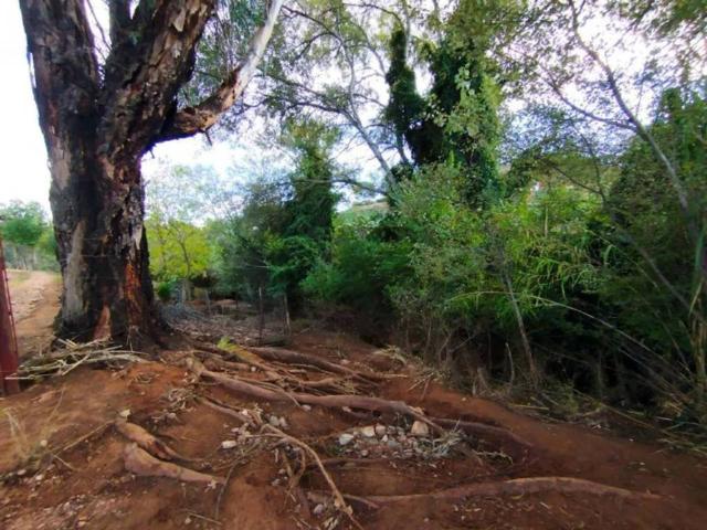 Casa rústica / Caserío en Venta en Cantillana