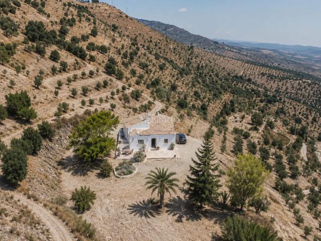 Casa en venta en Casabermeja. Finca rústica de 73.000 m con casa reformada, pozos, producción agrícola y vistas al mar en Casabermeja. Casas.