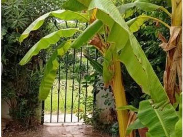 Casa en Venta en Casares