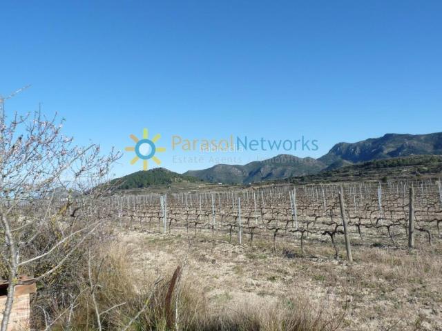 Casa en venta en Castelló de Rugat. Casita de campo a la venta en Castellon de Rugat. Casas Castelló de.
