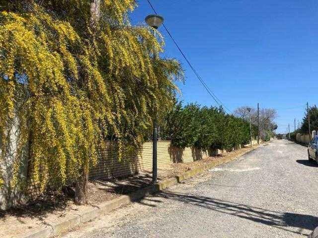 house 347 m2 Carmona