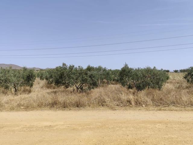 Casa en venta en Cartagena, La Magdalena Molinos Marfagones. Finca rústica con vivienda y 21.000 m2 de terreno en el Campo de Cartagena. Casas.