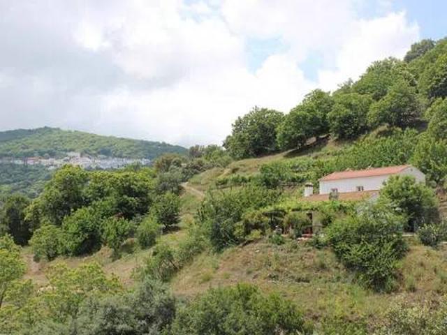Casa en Venta en Cartajima