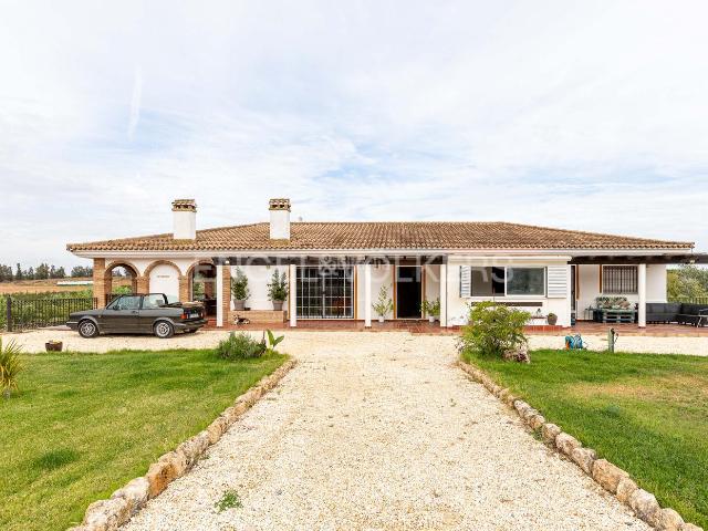Casa en venta en Cartaya. Espléndida Finca de Recreo con Casa Minimalista. Casas.