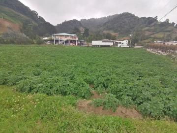 Casa en Venta en Cerro Punta, Tierras Altas