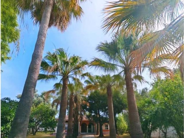 Casa en Venta en Chiclana de la Frontera