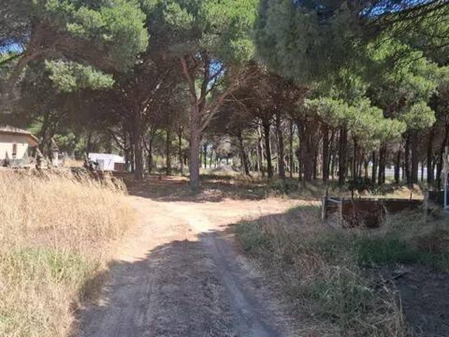 Casa en Venta en Chiclana de la Frontera