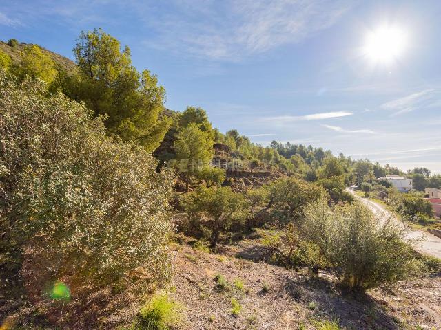 Casa en venta en Chilches. Estupendo terreno rústico para desarrollar actividades de turismo y ecológico! Gran oportunidad!. Casas.